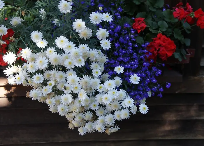 Landhaus Schmid * ゼー